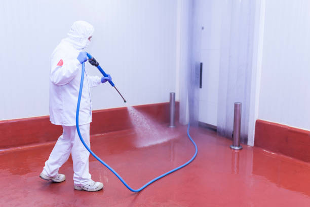 Best Post-Construction Pressure Washing  in Frankfort, OH